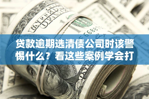 济南贷款逾期选清债公司时该警惕什么？看这些案例学会打翻身仗