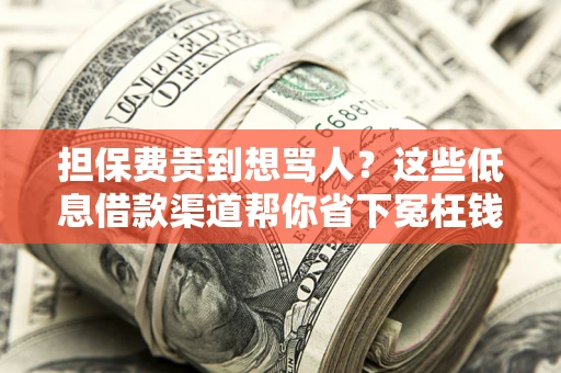 济南担保费贵到想骂人？这些低息借款渠道帮你省下冤枉钱
