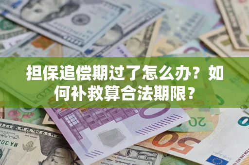 济南担保追偿期过了怎么办？如何补救算合法期限？